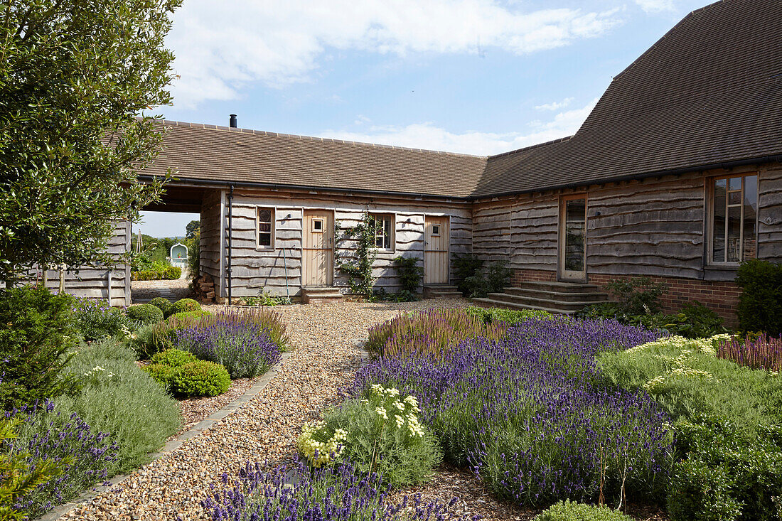 Courtyard with wood clad building, gravel driveway and plants