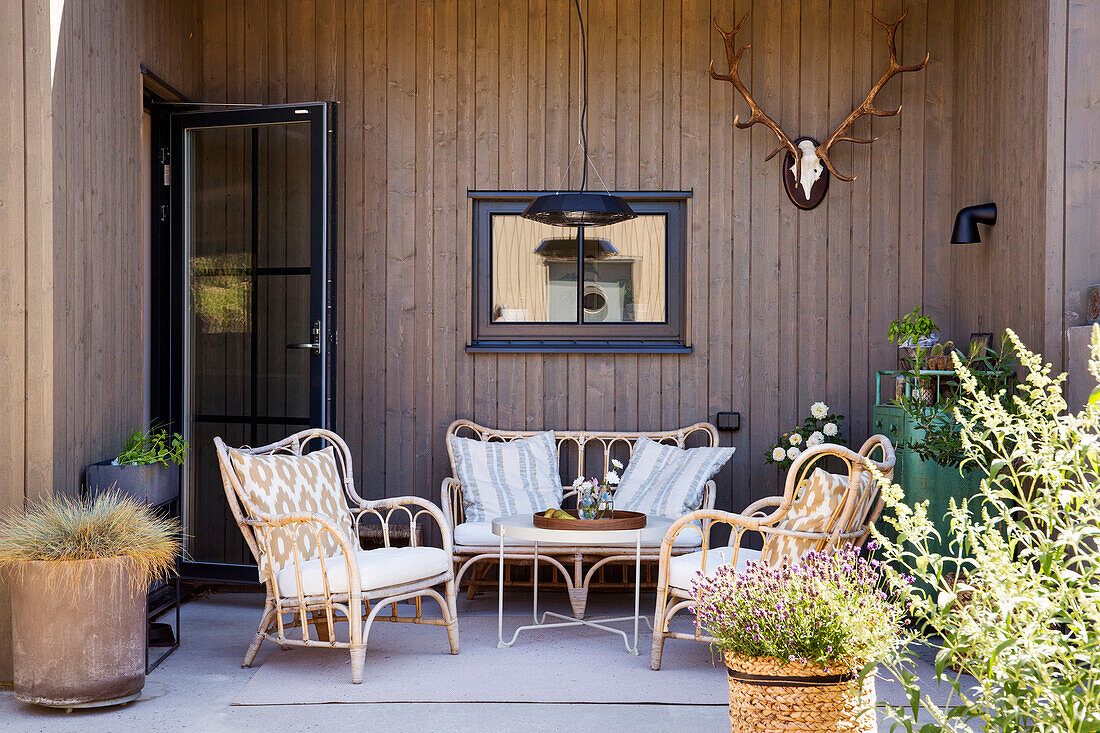 Terrace with rattan furniture and decorative deer antlers on wooden wall