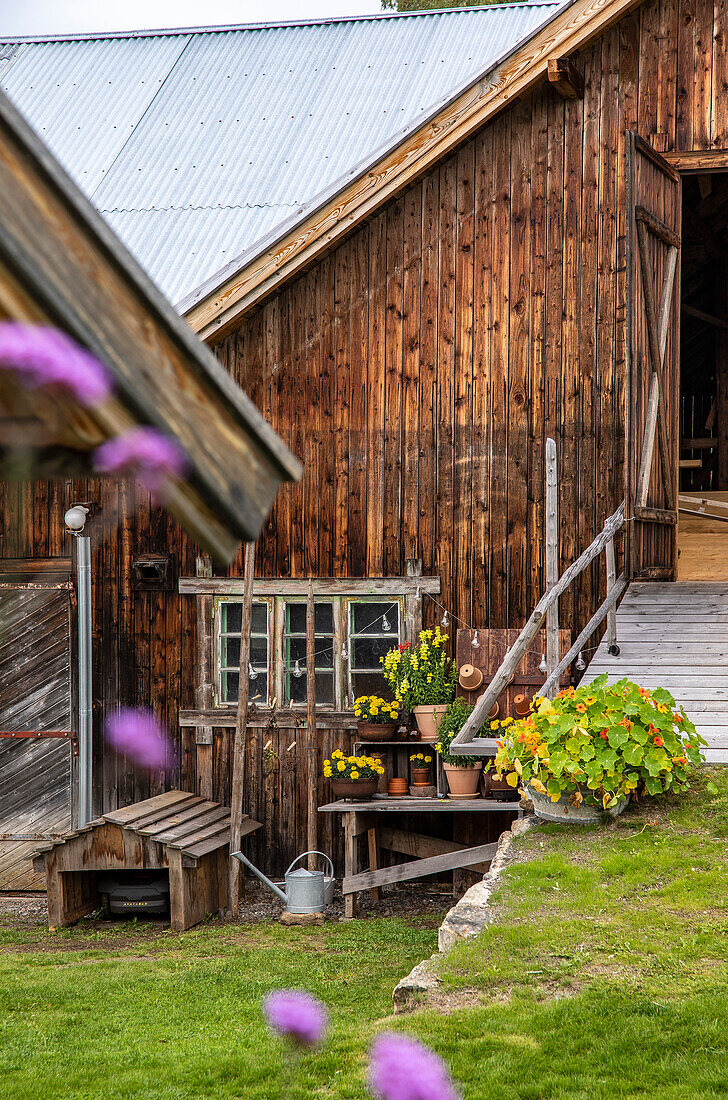 Blumentöpfe vor rustikalem Holzhaus