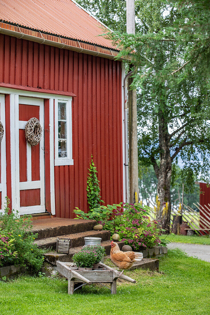 Ländliches rotes Holzhaus mit Gartendekoration und Hühnern
