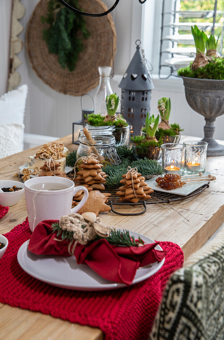 Christmas table setting with fir branches, hyacinths and gingerbread