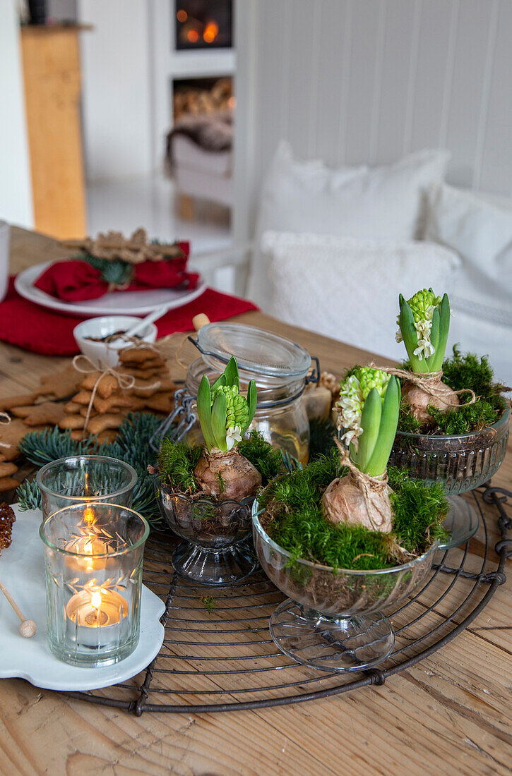 Hyazinthenknollen (Hyacinthus) in Glasschalen auf Holztisch