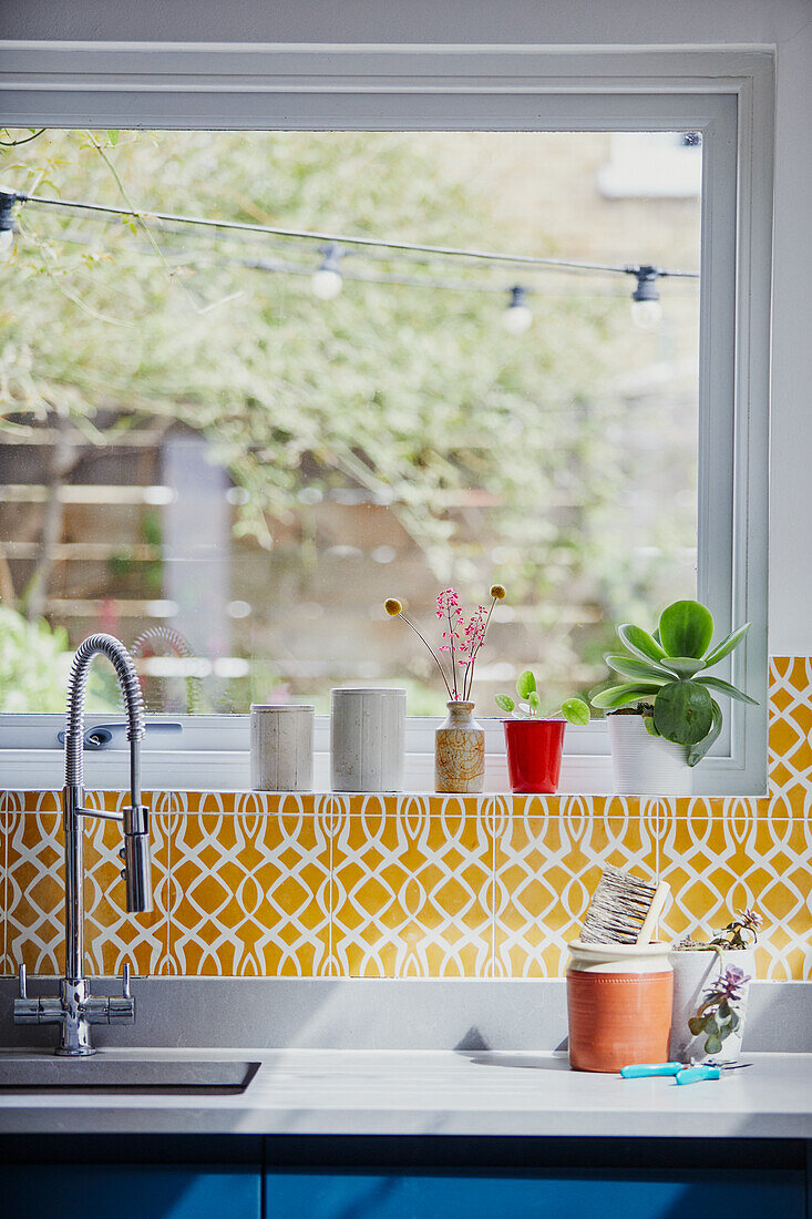 Küchenzeile vor Fenster mit gelben Fliesen und Sukkulenten auf der Fensterbank