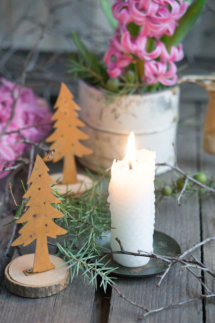 Weiße Kerze, kleine DIY-Tannenbäume, Hyazinthe (Hyacinthus) in dekorativer Dose auf Holztisch