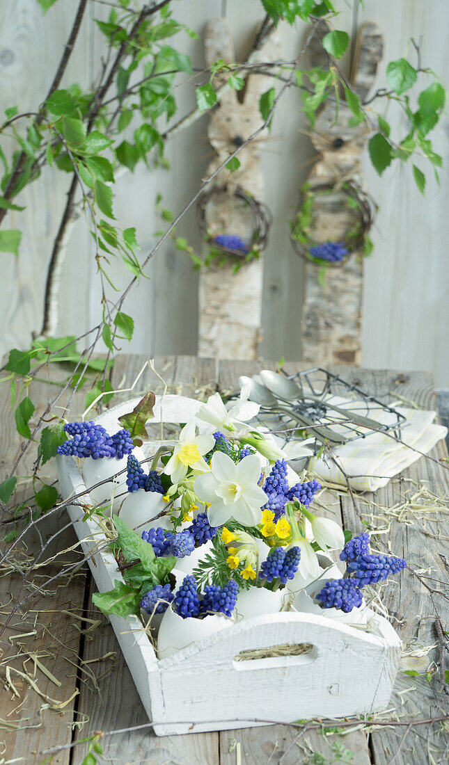Egg shells filled with grape hyacinths (Muscari), daffodils (Narcissus) and primroses on a wooden tray and Easter bunny figures in the background