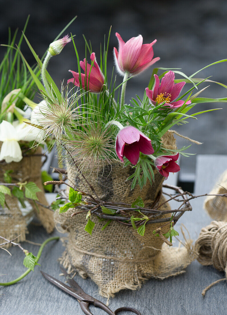 DIY-Vasen aus Weckglas mit Sackstoff und Frühlingsblumen, Küchenschelle (Pulsatilla)