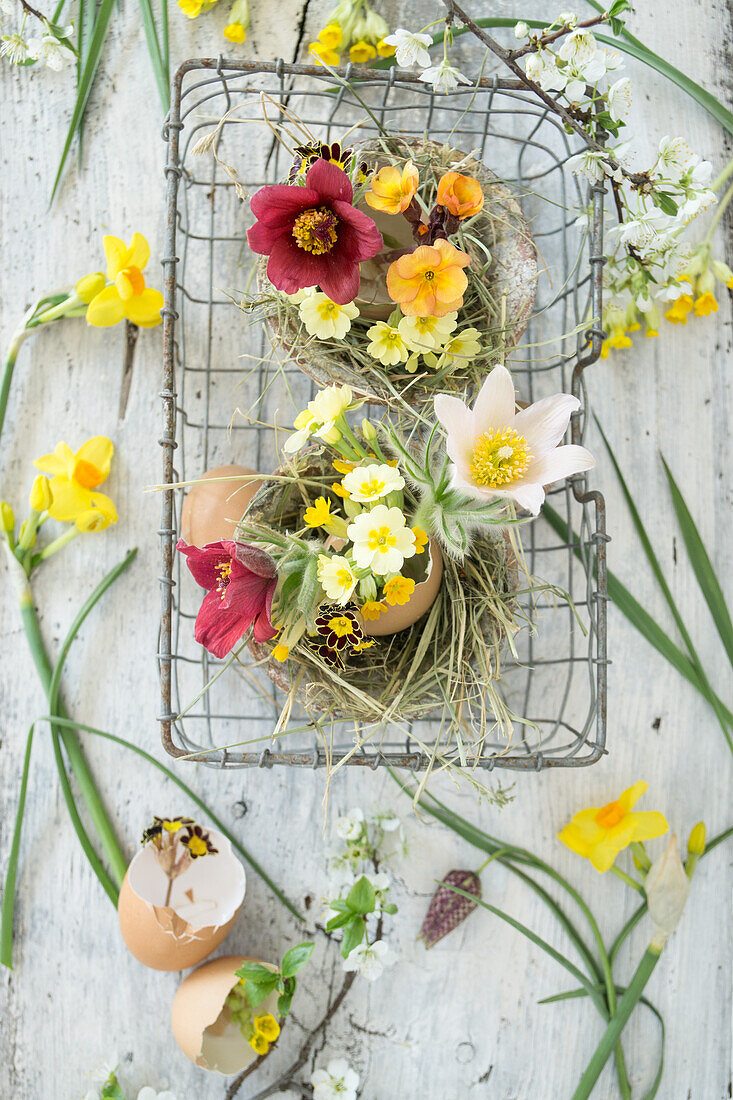 Egg shells with spring flowers in a nest of hay in a wire basket