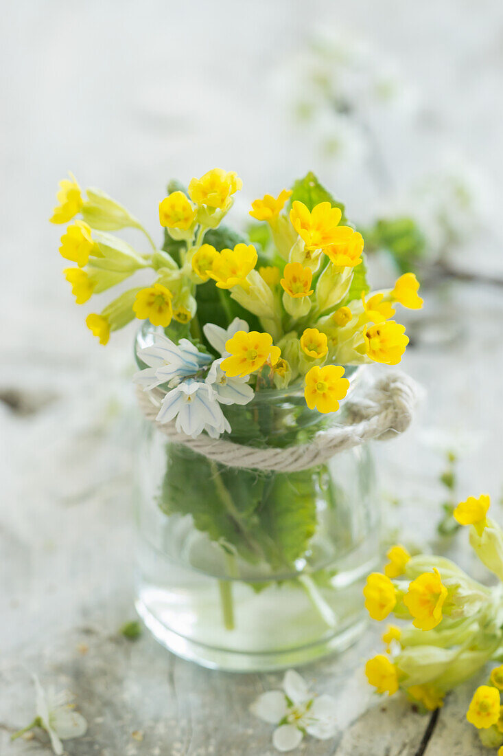 Bouquet of spring flowers in a jar