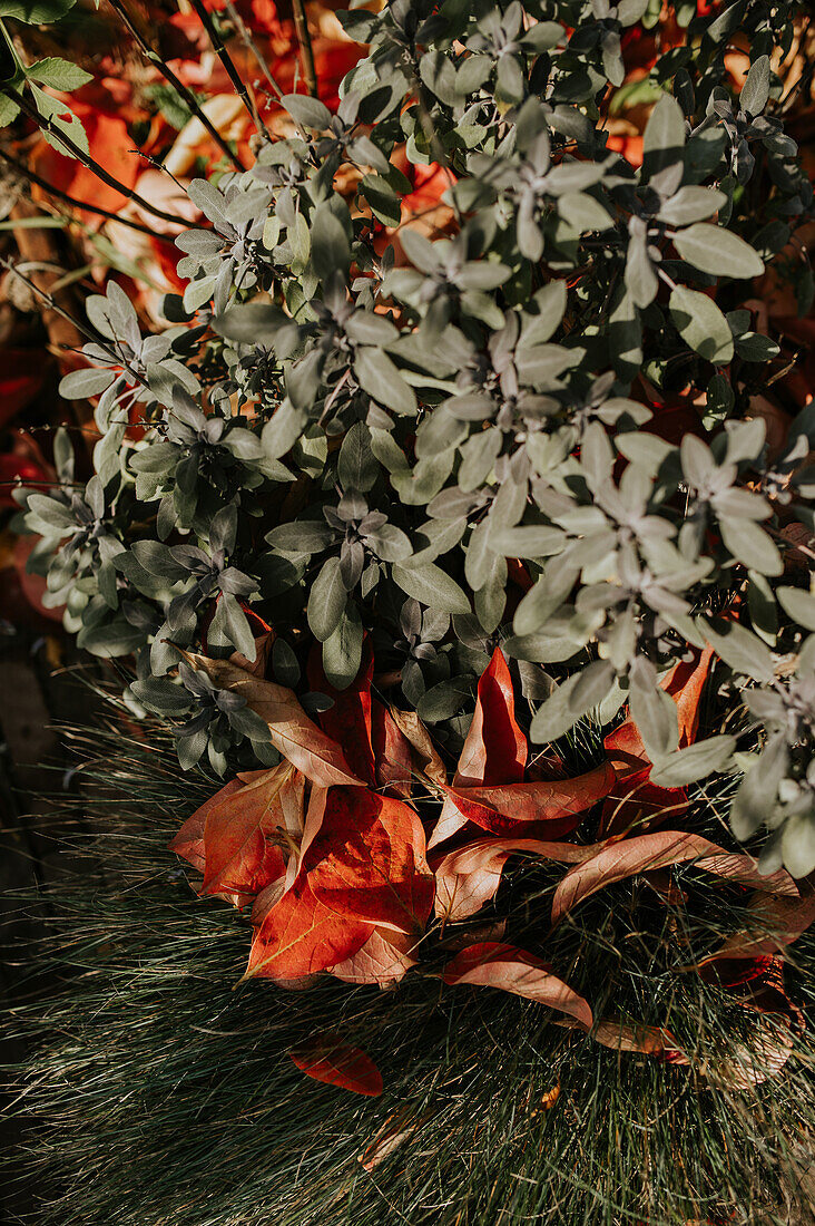 Herbstliche Pflanzendekoration aus Blättern im Garten