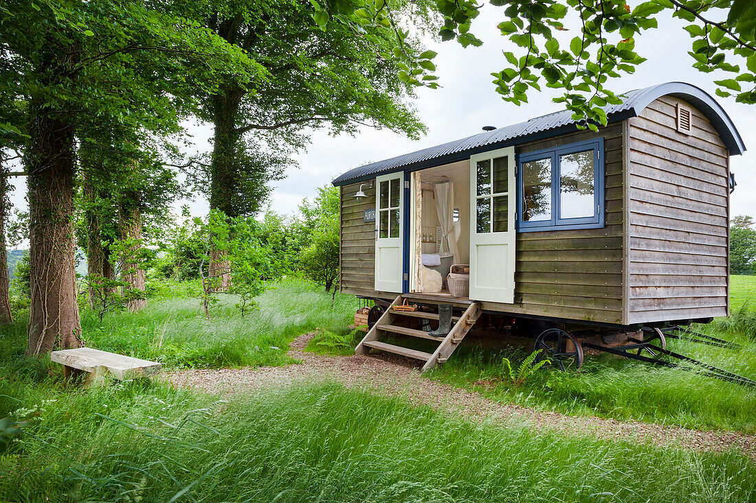 Wood-paneled tiny house in the countryside with open entrance and seating area inside