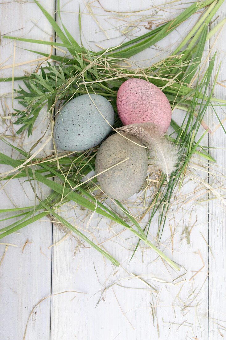 Colorful Easter eggs in an Easter nest made of grass, feathers and Pasque flower leaves