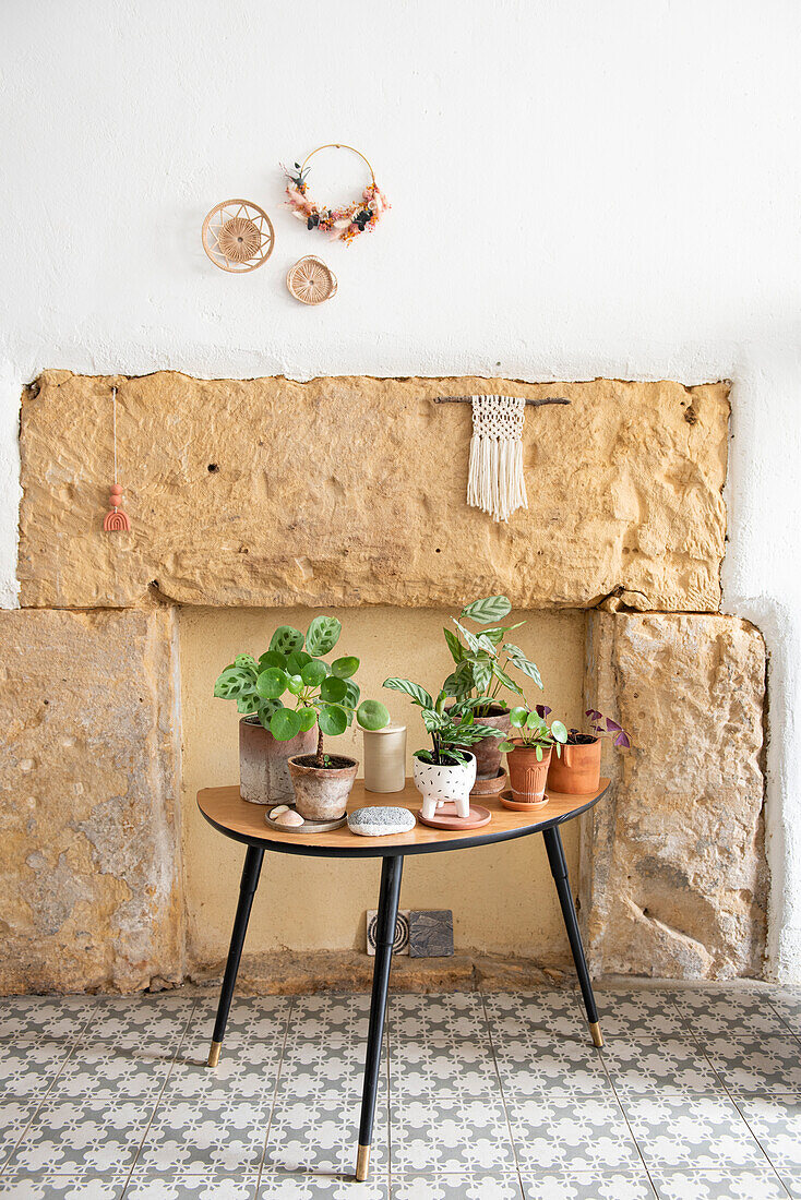 Retro side table with houseplants in front of rustic stone wall and patterned floor