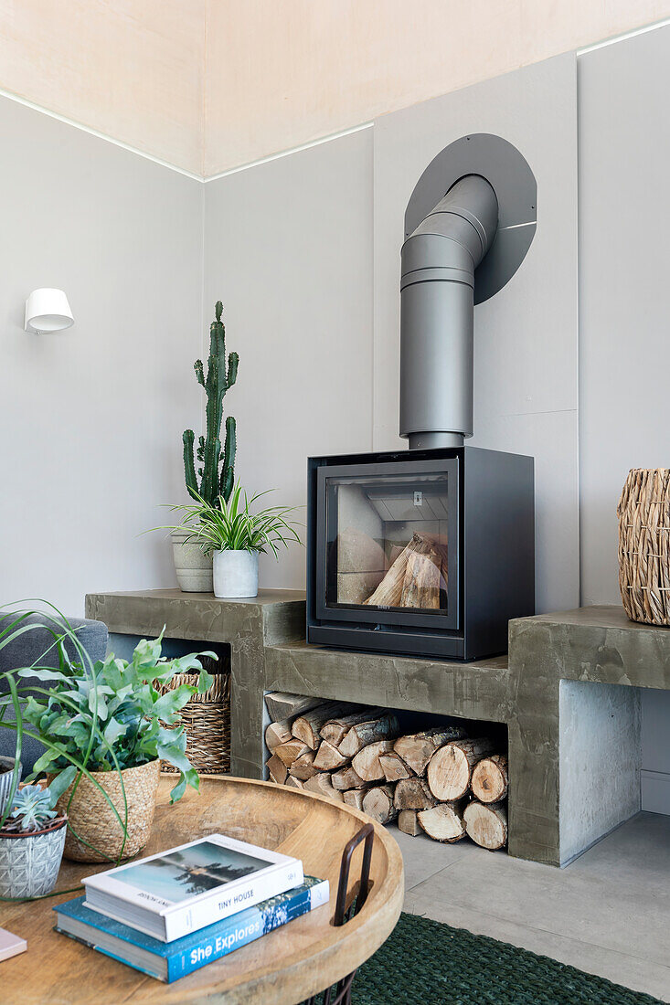 Wood-burning stove, cactus and stacked wood