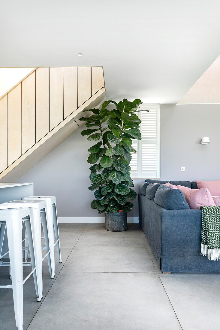 Bright living area with violin fig and blue sofa