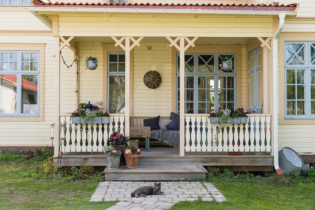 Cat sits in front of a covered porch with planted flower boxes