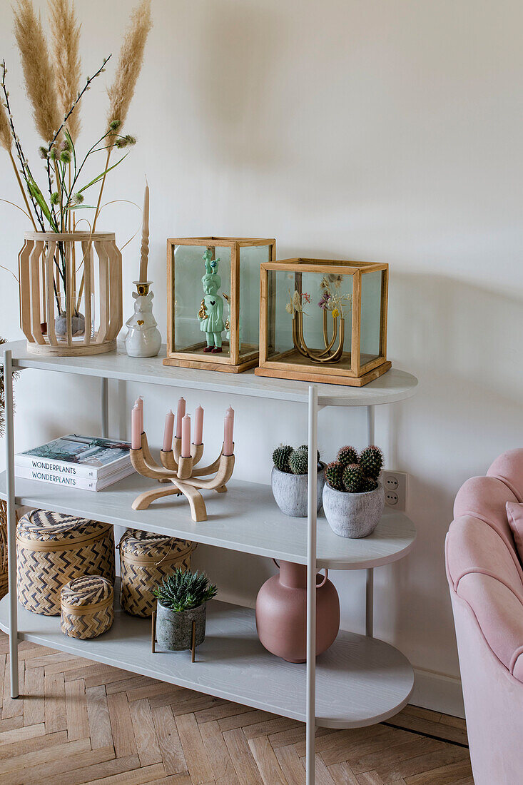 Modern shelf with decorative elements and cacti in the living room