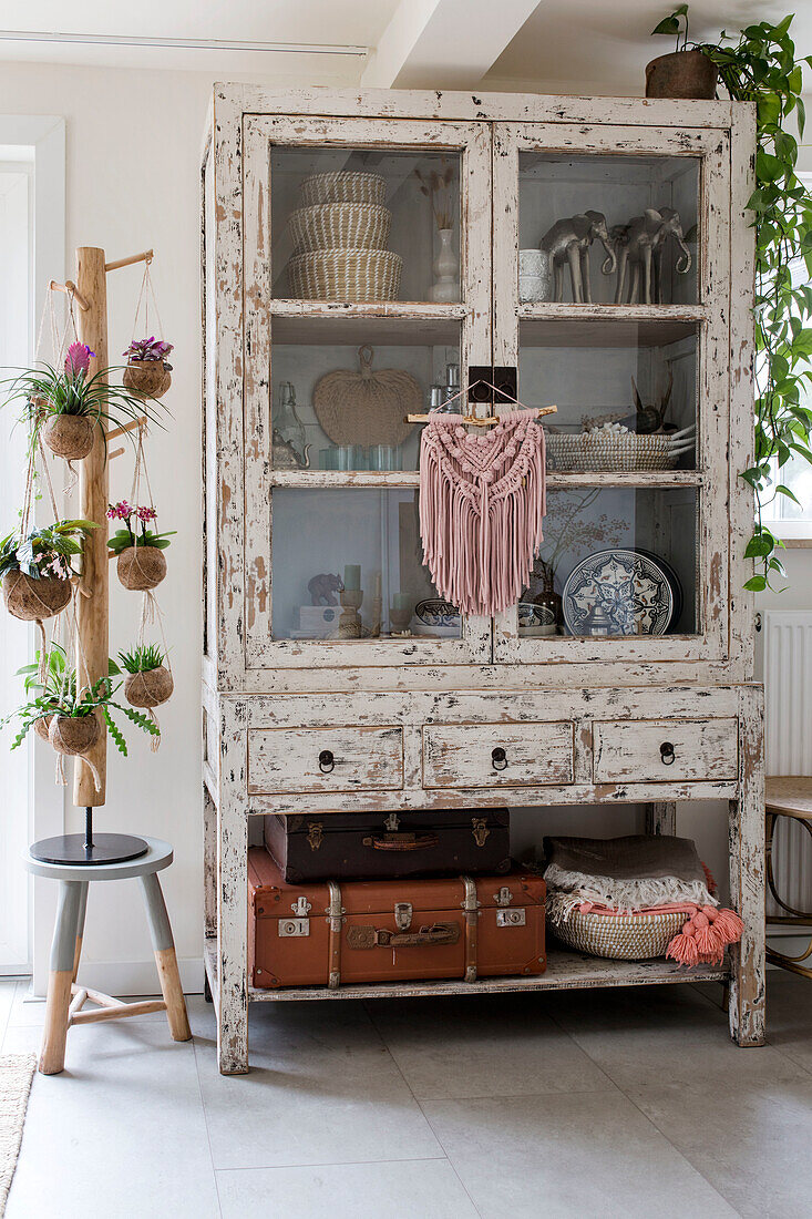 Vitrinenschrank im Shabby-Chic-Stil mit Deko-Objekten und Hängepflanzen