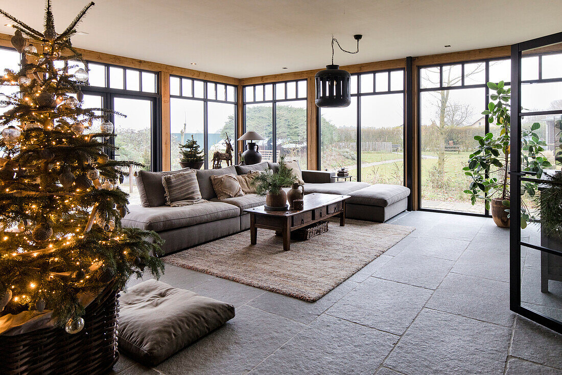 Spacious living room with Christmas tree and large windows