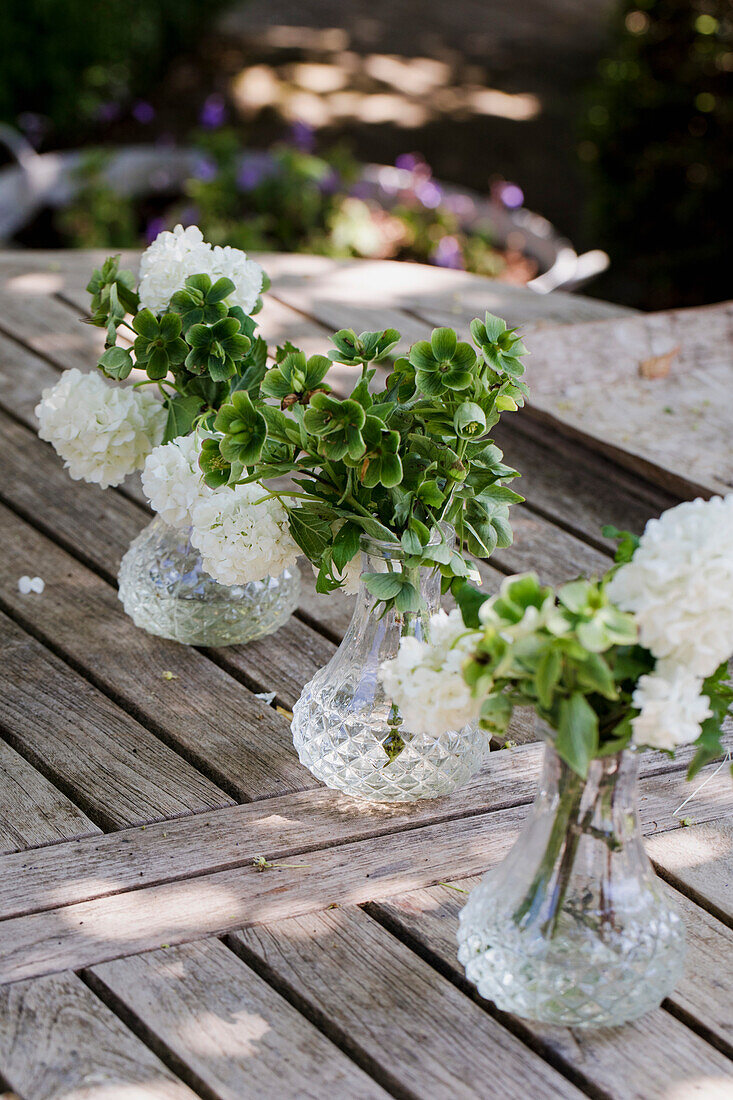 Drei gläserne Vasen mit weißen Hortensien (Hydrangea) auf rustikalem Holztisch im Garten