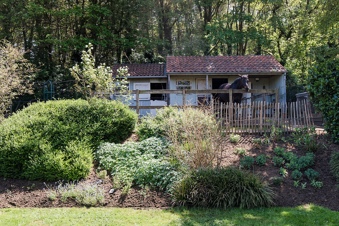 Pferdestall mit Holzzaun im Garten vor Waldrand im Frühling