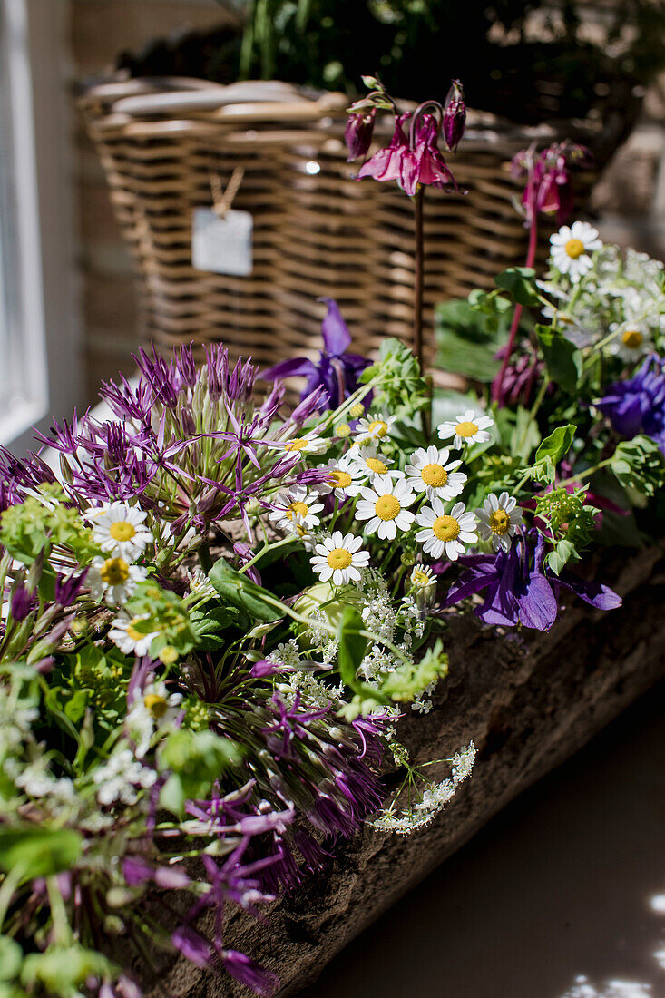 Mixed spring flowers in a rustic wooden planter on the windowsill