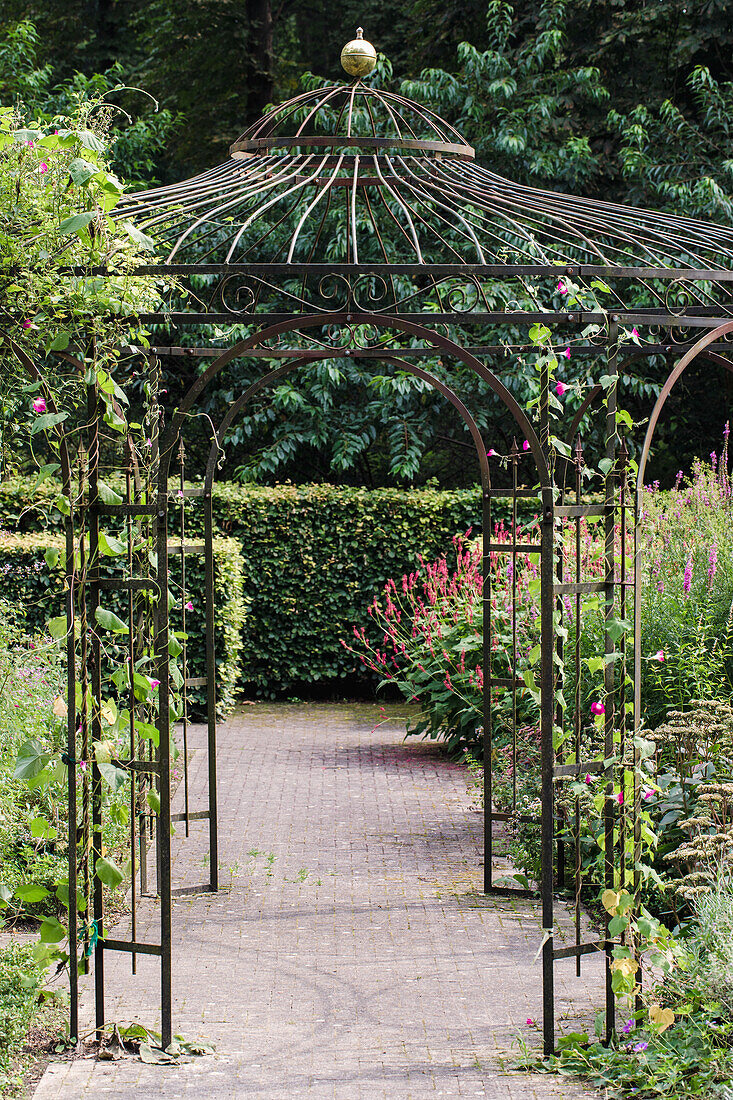 Metal pavilion with climbing plants in the summer garden