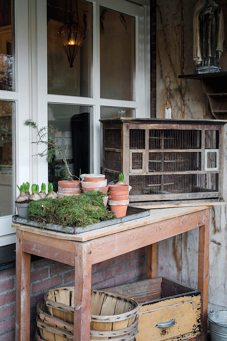 Rustic garden table with old clay pots and plants in front of a window