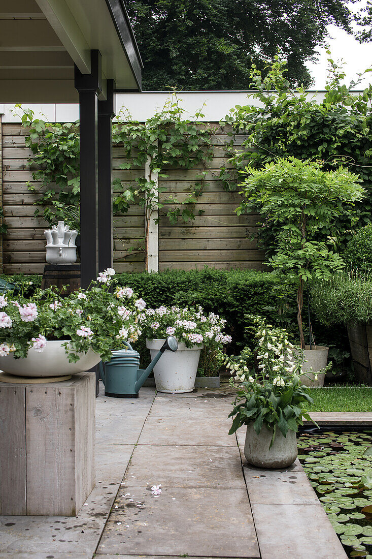 Gepflegte Terrasse mit Kletterpflanzen und Blumentöpfen im Sommergarten