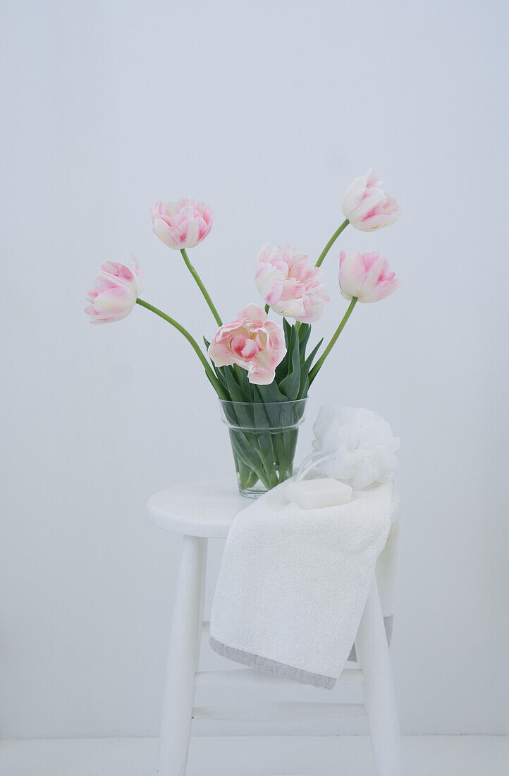 Strauß aus pastellrosa, gefüllten Tulpen (Tulipa) auf weißem Hocker
