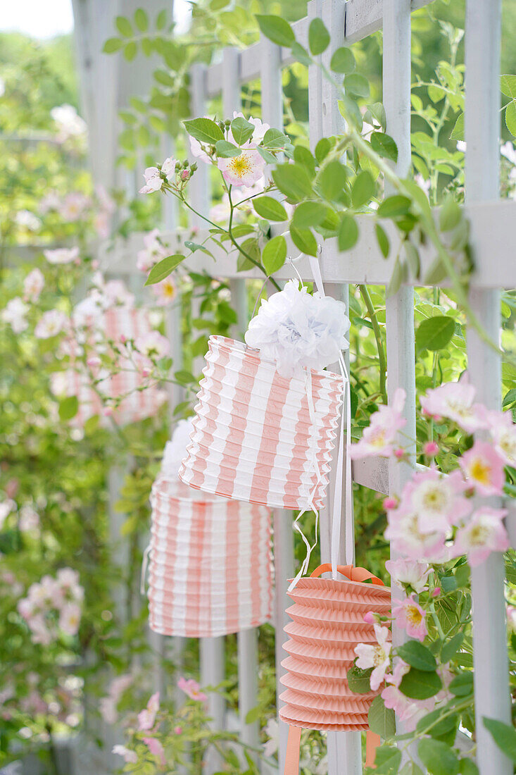 Paper lanterns on a garden fence