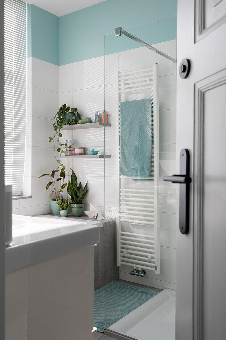 Modern bathroom with glass shower, plants and turquoise-coloured accents