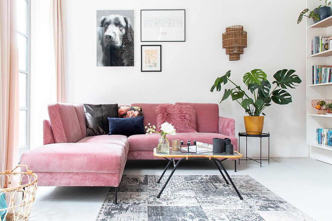 Living room with pink velvet sofa, monstera and wall art