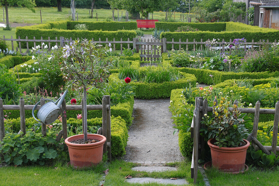 Bauerngarten mit Buchs, formal angelegt, Holzzaun, Gemüse und Blumen