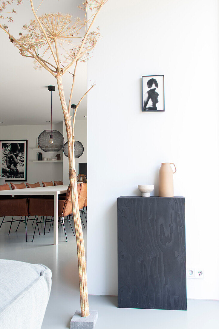 Giant dry hogweed plant next to modern dining area with leather chairs