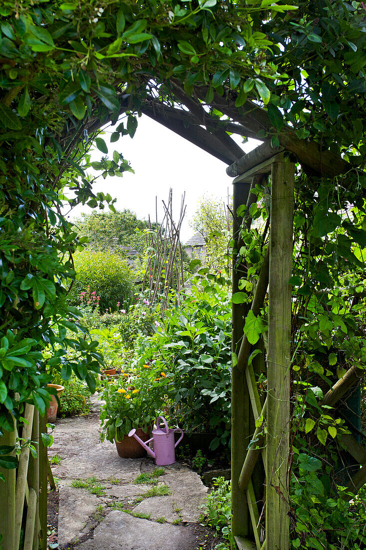 Holzpergola mit Kletterpflanzen im sommerlichen Garten