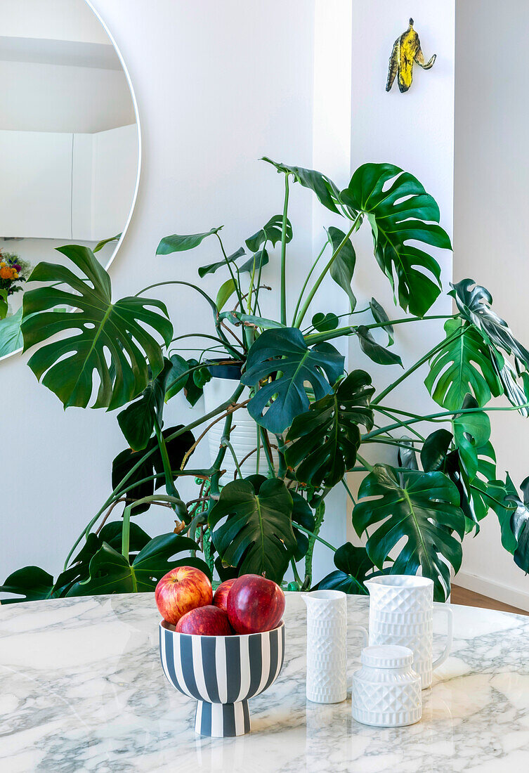 Marbled kitchen worktop with bowl of fresh apples and monstera plant in the background