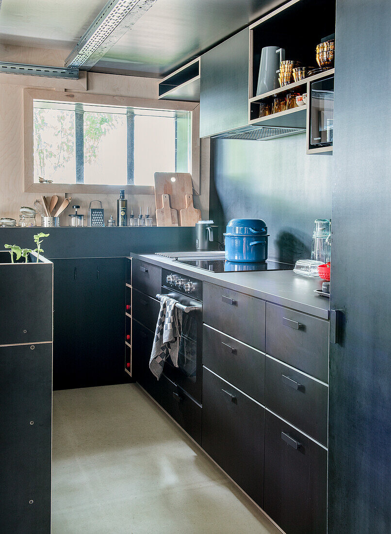 Compact modern kitchen with black cabinets