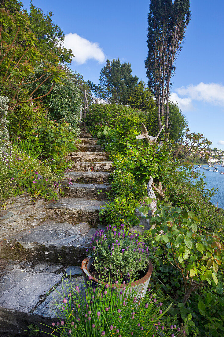 Steintreppe im üppig bewachsenen Garten