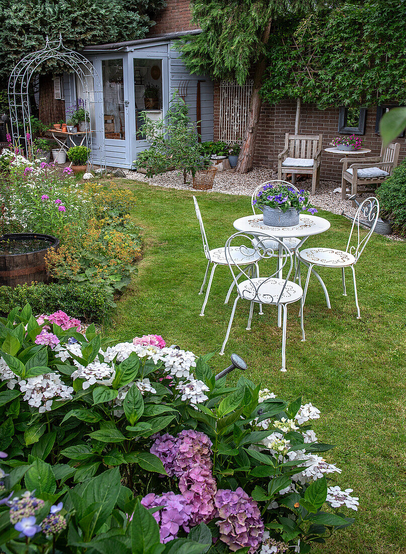 Garten mit weißen Eisenmöbeln und blühenden Hortensien (Hydrangea)