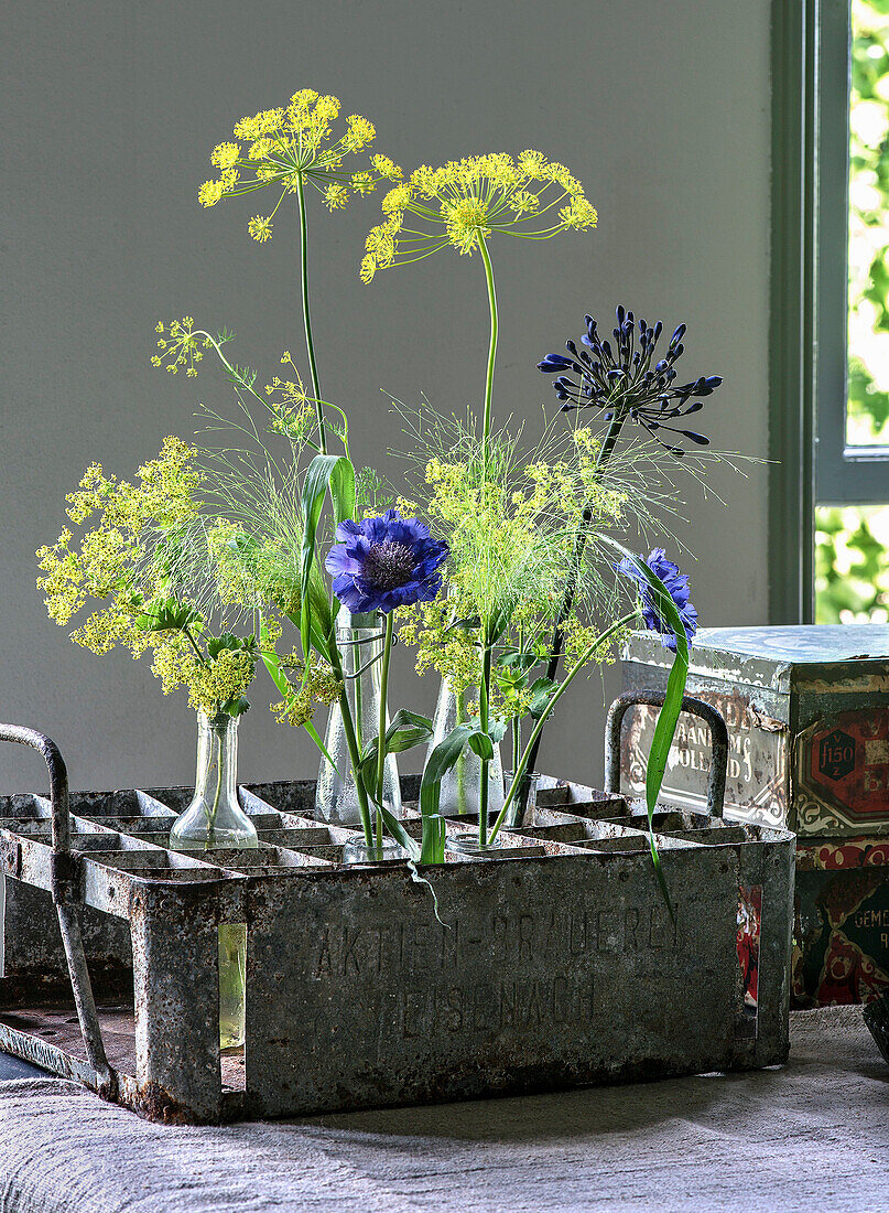 Blumenarrangement mit Dill und Kornblumen in altem Flaschenträger