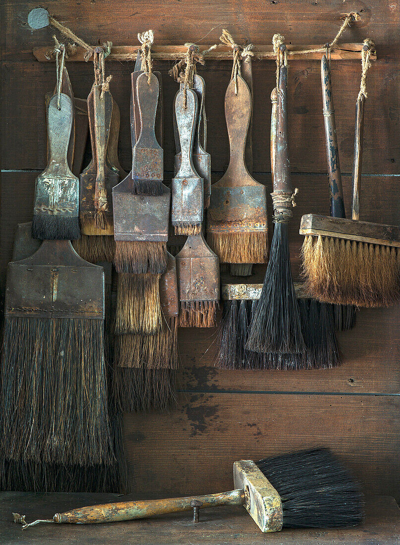 Old, worn brushes hanging on a rustic wooden wall