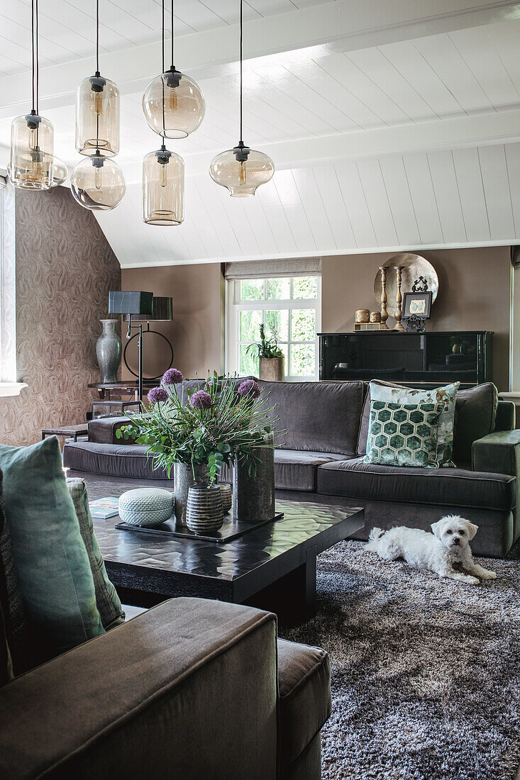 Dog on fluffy carpet in living room with pendant lights and dark grey velvet sofa