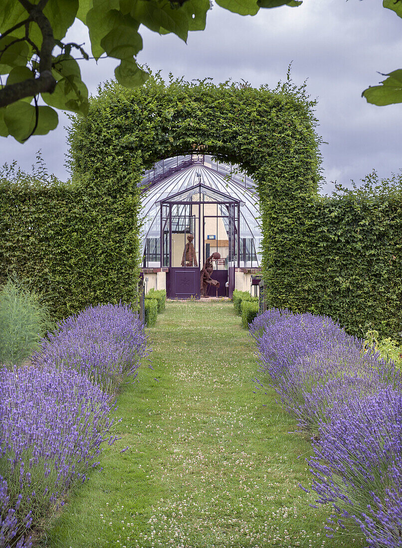 Pergola with lavender bushes leads to greenhouse in the garden