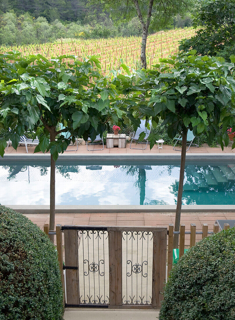 Blick auf Terrasse mit Pool und Weinberg im Hintergrund