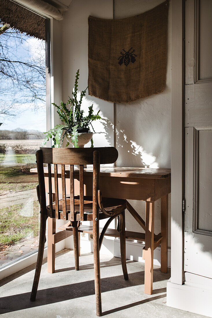 Holztisch mit Stuhl und Topfpflanze am Fenster mit Landschaftsblick