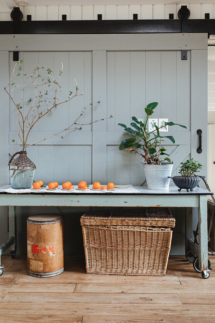 Arbeitstisch mit Pflanzen und Orangen, Korb und Metallbehälter im Wintergarten