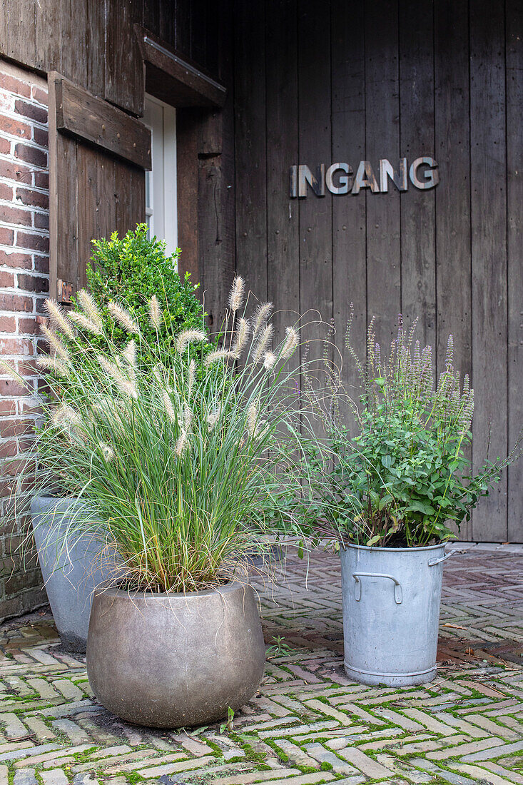 Planters with ornamental grasses and herbs in front of an entrance