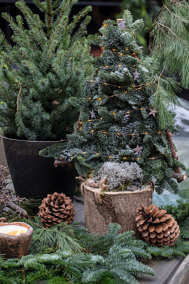 Selbstgemachter Mini-Weihnachtsbaum aus Tannenzweigen im Garten