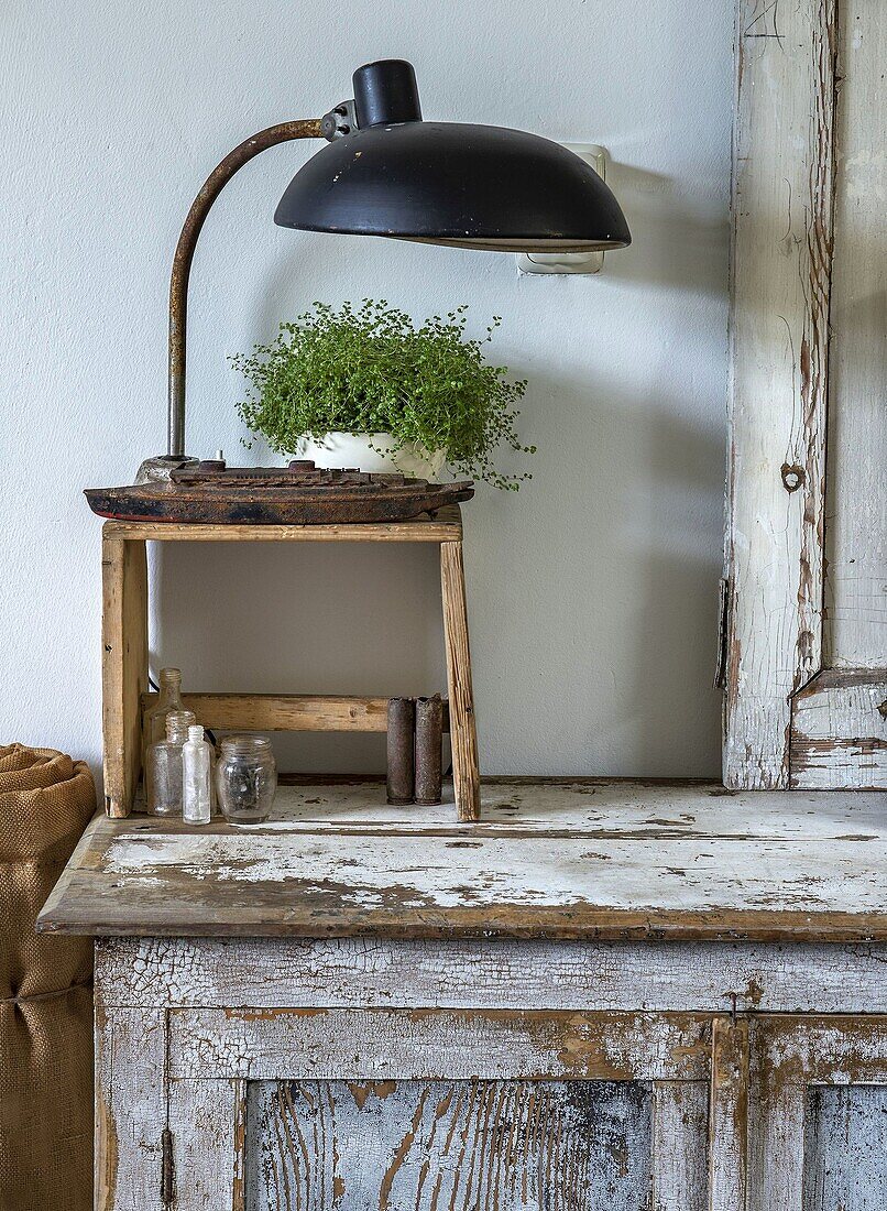 Shabby chic dresser with table lamp and green plant