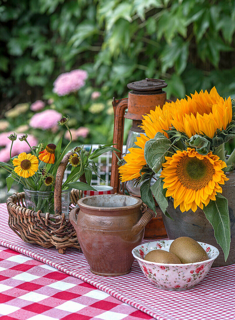 Herbstlicher Tisch mit Sonnenblumen (Helianthus), Laterne und Keramikkrug im Garten